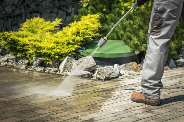 Animal Enclosure Cleaning in Gleneagle, CO